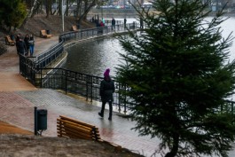 Синоптики прогнозируют до +5°С и дождь на рабочей неделе в Калининградской области