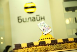 «Билайн» на треть увеличил количество 4G базовых станций в Калининградской области