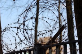 Начальник калининградского СИЗО задержан за взятку от заключённого