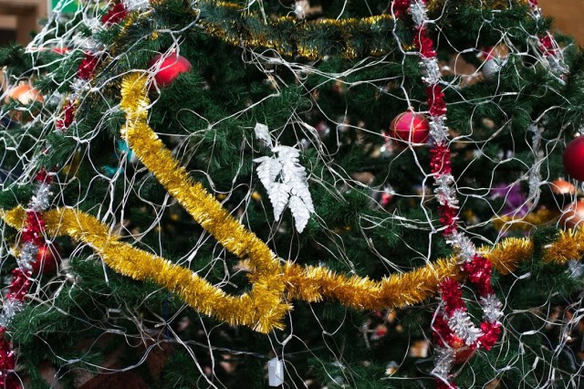 Росгвардия: Житель Хабаровска украл новогоднюю ель из «Бауцентра»