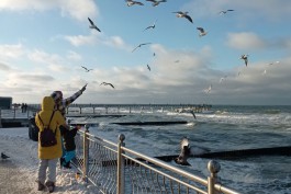 «Каникулы у моря»: сколько стоит неделя отдыха в Калининграде на новогодних праздниках 