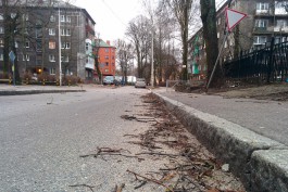 В Калининградской области ожидаются порывы ветра до 25 м/с