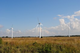 Из-за шторма «Ксавьер» энергетики приостановили работу ветропарка в Куликово