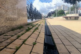 «Трещины с травой и вздутая плитка»: как выглядит набережная Трибуца в Калининграде в ожидании ремонта (фото)