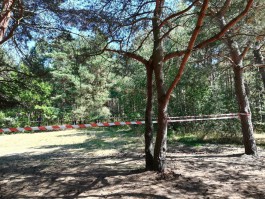 После взрыва снаряда в Балтийске вводят запрет на посещение лесов 