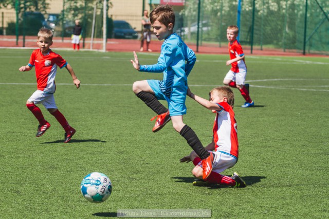 «Волна футбола»: в калининградском турнире сыграло 46 детских команд (фото)