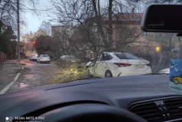 Штормовой ветер повалил 11 деревьев в Калининграде: повреждены два автомобиля