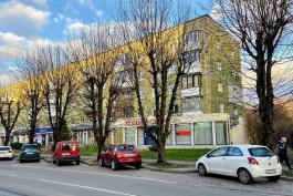 Петренко: Большинство деревьев в Калининграде требуют замены