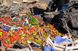 В Калининградской области уничтожили 196 кг турецких помидоров 