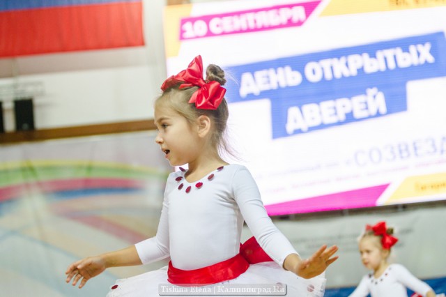 «Рок-н-ролл и все, все, все»: в Калининграде прошла выставка спортивных секций и школ (фото)