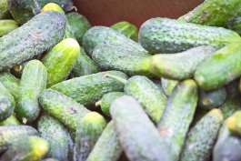Литва не подтверждает информацию о возобновлении поставок свежих овощей в Россию
