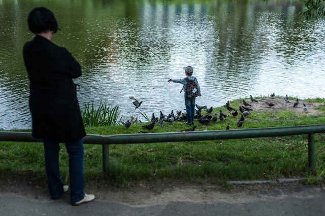 В Калининграде на три месяца обмелеет Нижнее озеро