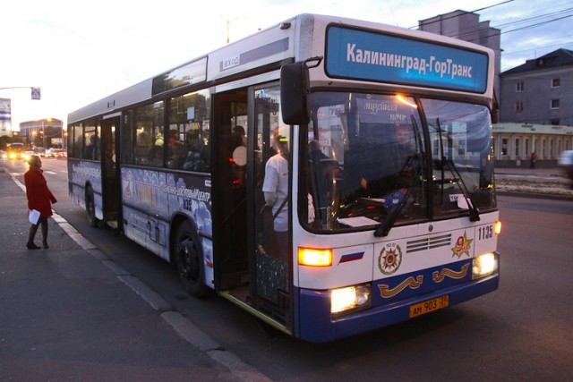 Прокуратура: «Калининград-ГорТранс» выпускал на линию автобусы с неисправностями
