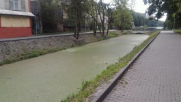 Почему в Калининграде не чистят Нижнее озеро? (фото)
