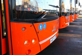 Власти Калининграда не планируют покупать ещё 100 автобусов МАЗ в 2017 году