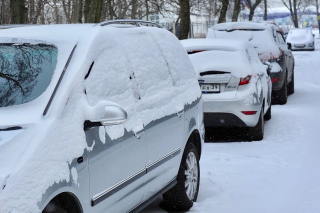 Метеорологи: В ближайшие часы в Калининградской области ожидается сильный снег