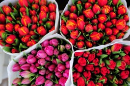 Перед 8 Марта в Калининградскую область завезли 285 тонн цветов