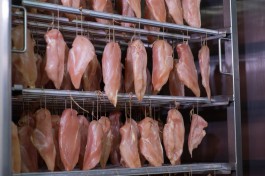 Россельхознадзор частично запретил импорт мяса птицы из Польши