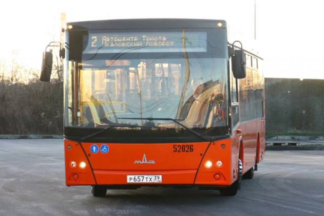 Как «околхоживаются» новые белорусские автобусы