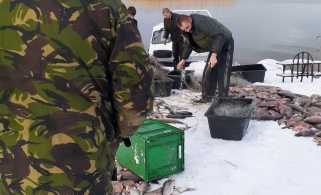 В Калининградском заливе бойцы СОБР задержали браконьеров с 400 кг рыбы
