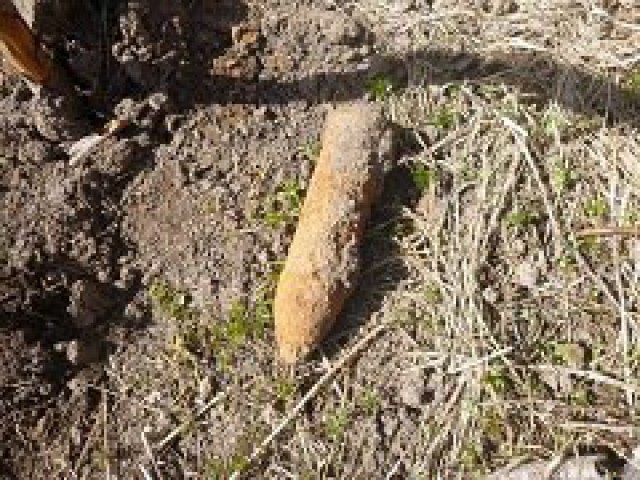 Грибники нашли в лесах Калининградской области четыре боеприпаса и миномёт