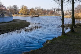 Минприроды: Летнее озеро в Калининграде сможем расчистить не раньше 2027 года