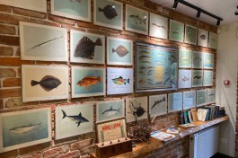 На Куршской косе открыли Музей рыбака и рыб (фото)