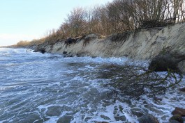 «Балтберегозащита»: Шторм почти полностью смыл пляж и повредил авандюну в корневой части Куршской косы (фото)