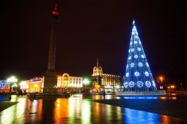 Власти Калининграда отказались покупать новогоднюю ёлку и украшения за 56 млн рублей