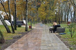 В парке «Времена года» в Светлогорске расширили центральную аллею (фото)