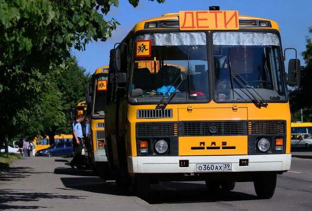Калининградская область получит шесть школьных автобусов и девять машин скорой помощи