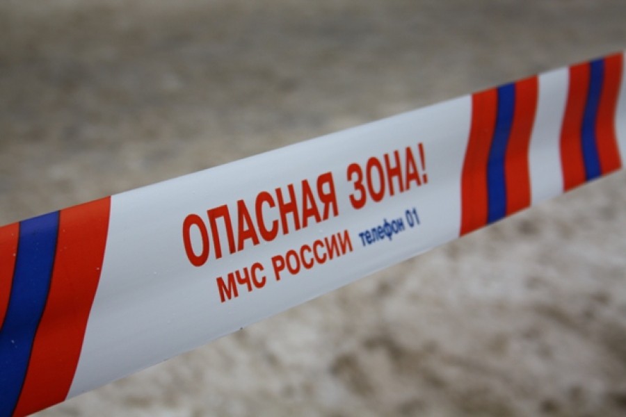 Полицейские в Черняховске изъяли у мужчины боевую гранату