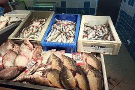 Власти объяснили высокие цены на калининградскую рыбу