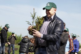 Цуканов развеял подозрения поляков о «военной» вырубке деревьев в регионе