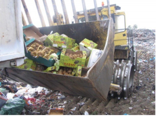 В Калининградской области уничтожили 24 тонны санкционных овощей и фруктов