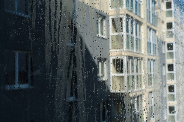 Синоптики прогнозируют небольшие дожди на рабочей неделе в Калининградской области