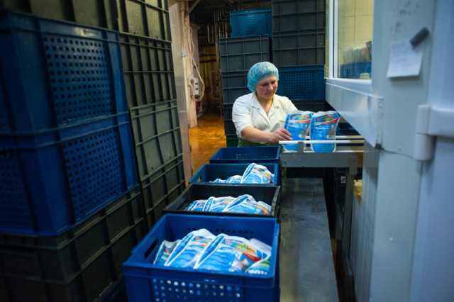 Калининградский агрохолдинг планирует поставлять молоко в Крым