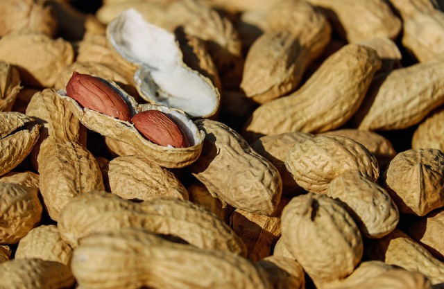 В Калининградскую область не пустили 50 тонн арахиса из Индии