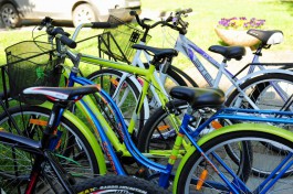 Власти планируют начать строительство велодорожки от Куршской косы до Светлогорска в 2018 году