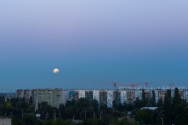 «В земной тени»: в небе над Калининградом наблюдалось лунное затмение (фото)