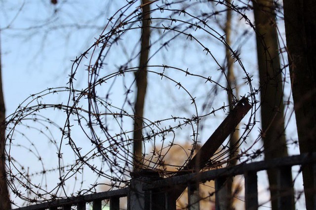Жительнице Калининграда грозит тюрьма за неуплату алиментов