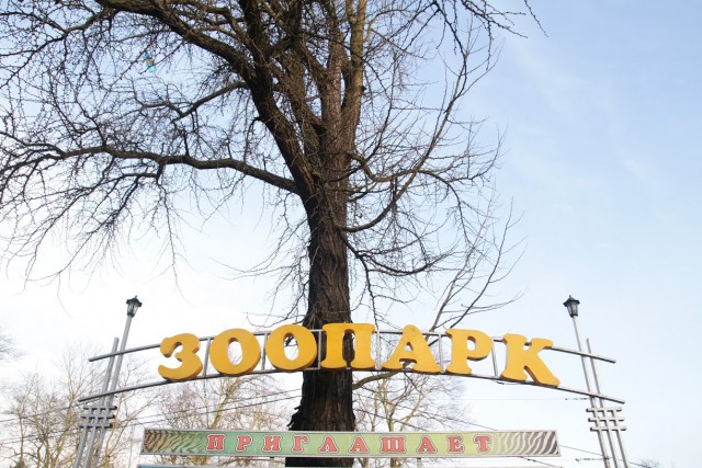 Калининградский зоопарк запустил онлайн-продажу билетов на Масленицу