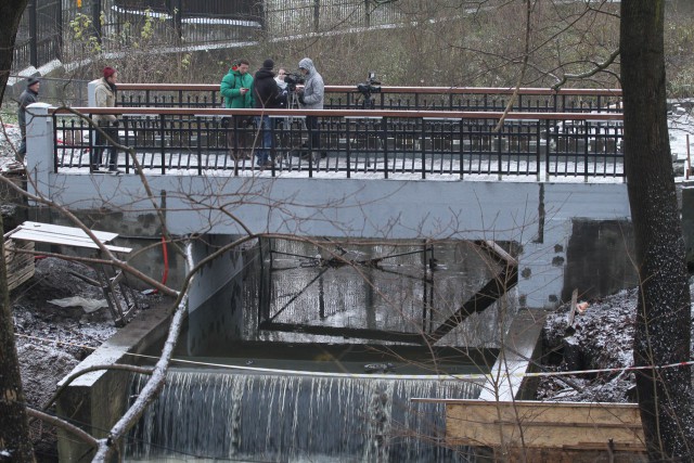 «Линия жизни»: в калининградском зоопарке ремонтируют автодорожный мост