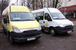 Суд на три месяца приостановил деятельность ИП Скиба по перевозке пассажиров в Калининграде
