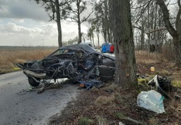 Очевидцы: В Гурьевском округе «Ауди» влетела в дерево, водитель погиб