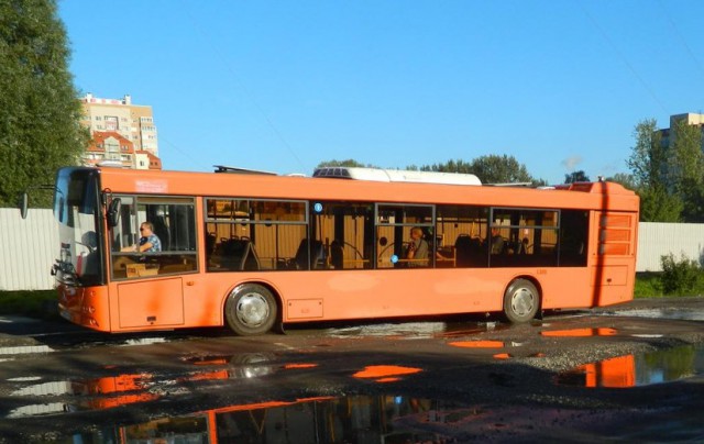 На остановке в Калининграде женщина ударилась об дверь автобуса