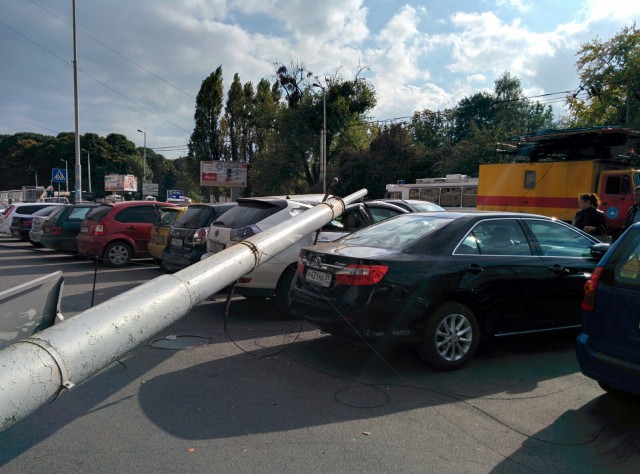 «Калининград-ГорТранс» назвал причины падения столба на «Лексус»