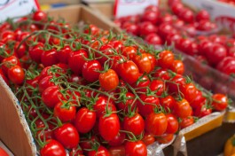 Калининградские таможенники изъяли более 4,5 тонн санкционных овощей, фруктов и ягод