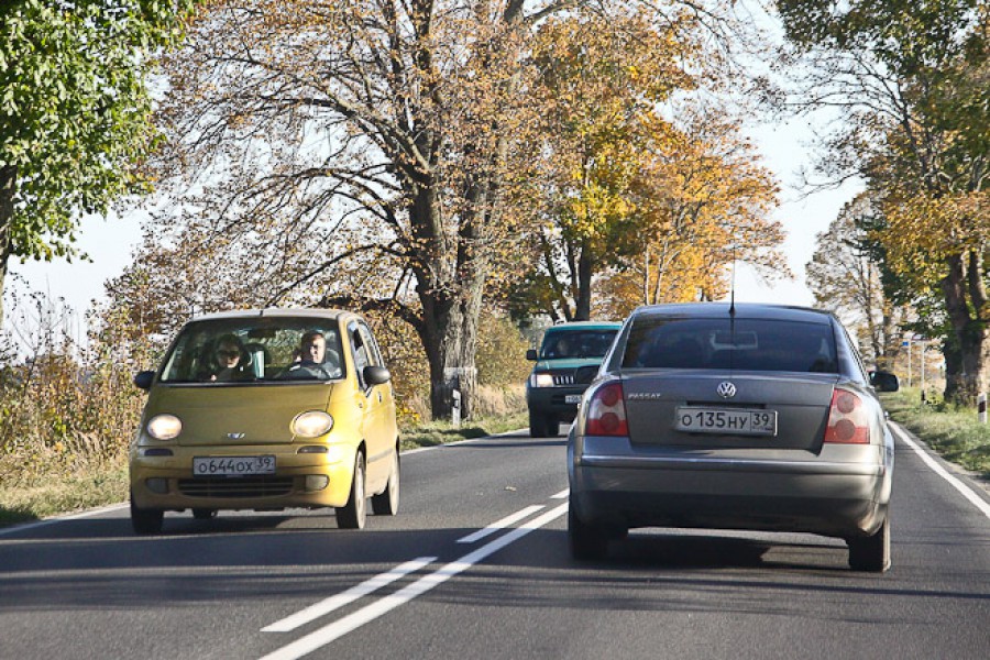 Цуканов: На исторических маршрутах нужно сохранять деревья вдоль дорог