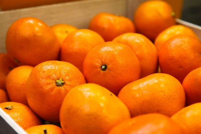 Эксперты: К Новому году в России подешевеют мандарины и апельсины